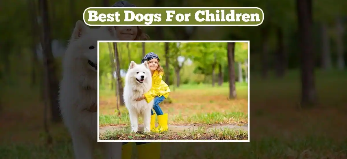 Best Dogs For Children