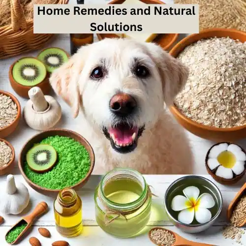 Home Remedies and Natural Solutions