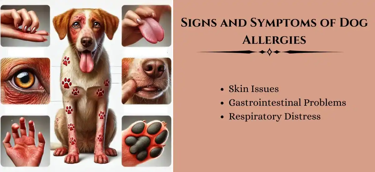 Signs and Symptoms of Dog Allergies