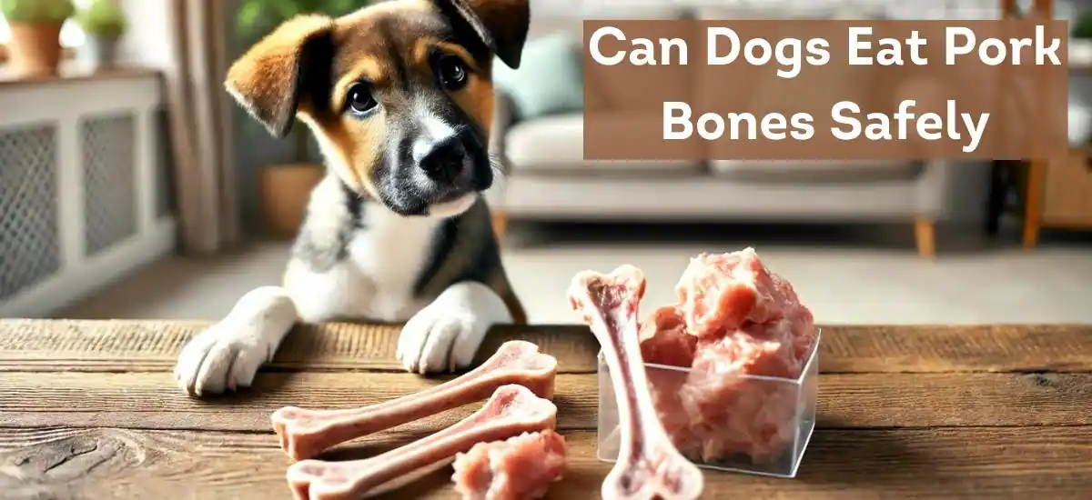 Can Dogs Eat Pork Bones Safely